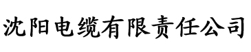 国产成人精品在线观看电缆厂logo